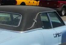 Kam buvo skirtos automobilius puošusios landau juostelės?
